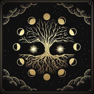 Meet your Posher, Rylan